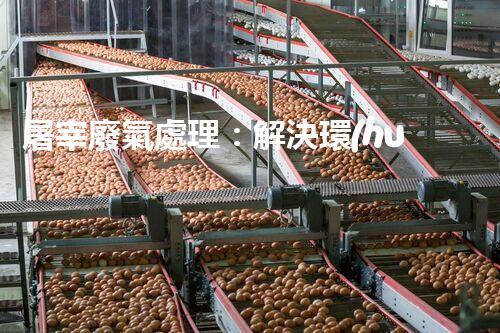 屠宰廢氣處理：解決環(huán)境污染之謎！